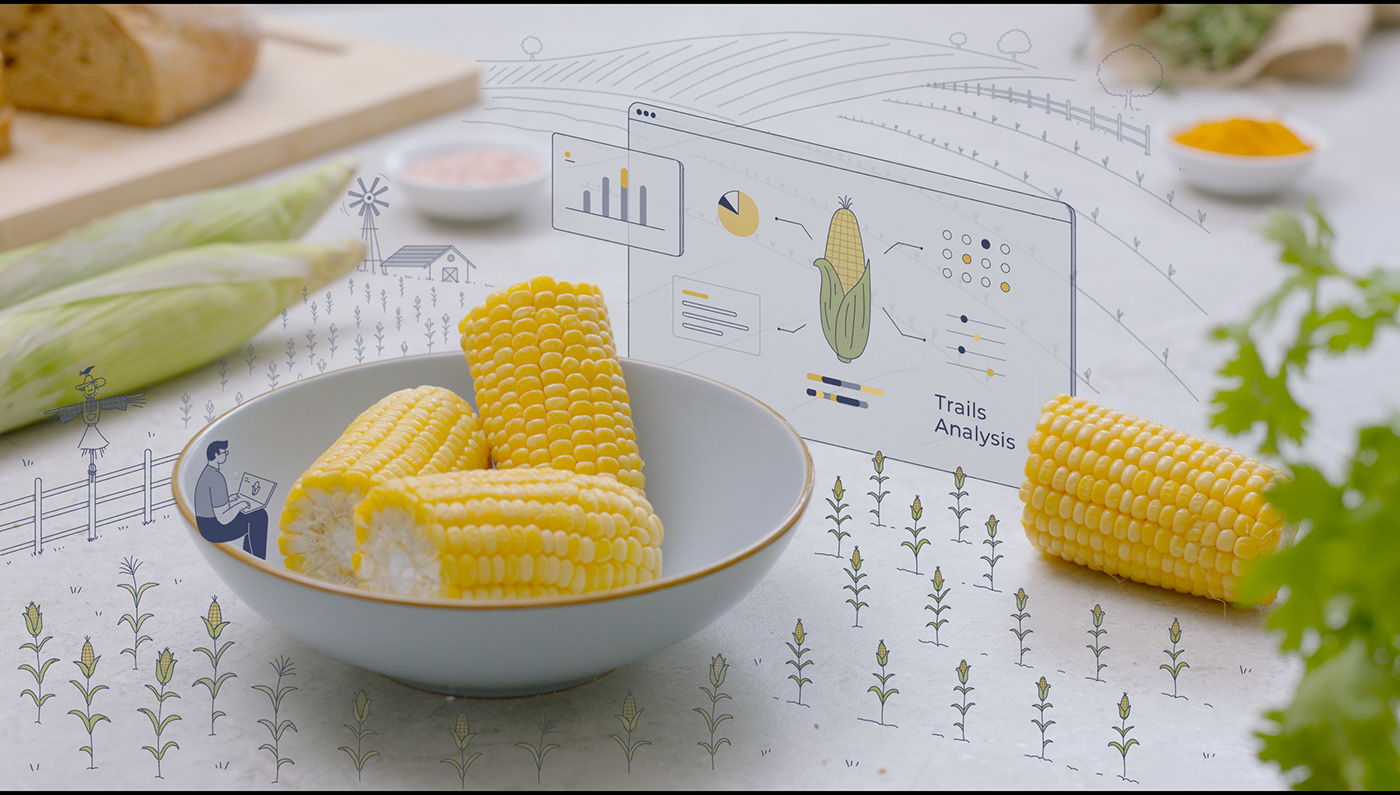 corn Food  table