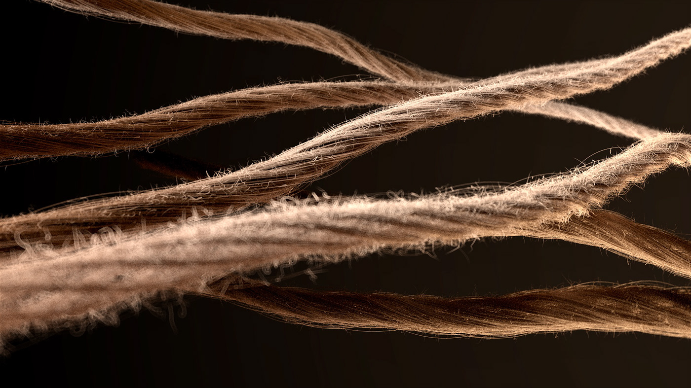 3D Fur hair houdini redshift Render simulation Wires