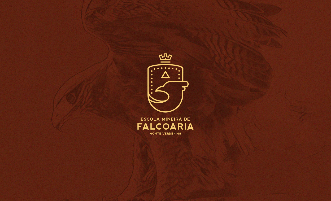 brand Falconry Brazil branding  logo Nature heraldic Flying hawk