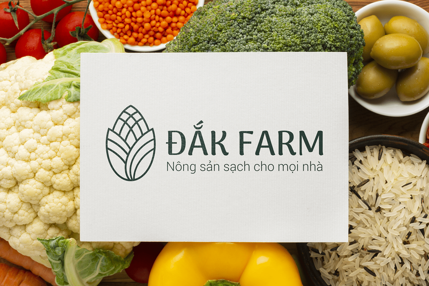 branding  Stationery Farm Logo Packaging Logo Design