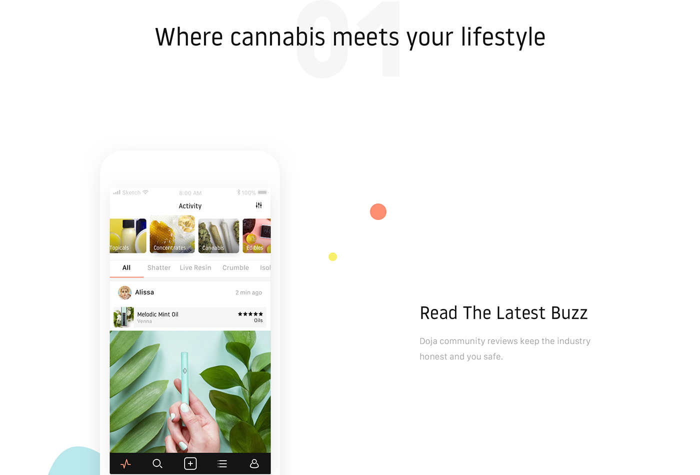 cannabis marijuana app application ios weed animation  UI ux branding 