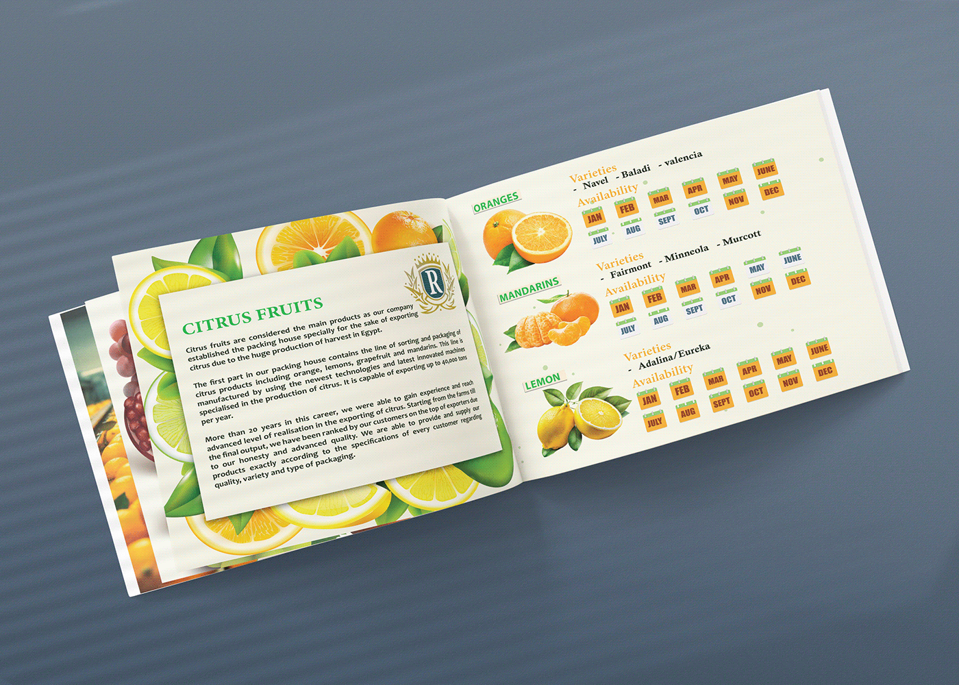 Catalogue print fruits vegetables juice fresh modern Food  Health oranges