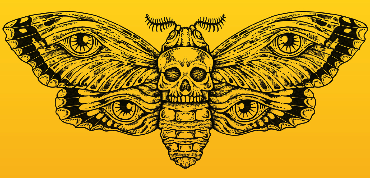 pen and ink moth Deaths Head Moth skull Album cover acoustic yellow eye wing etch black Transition insect