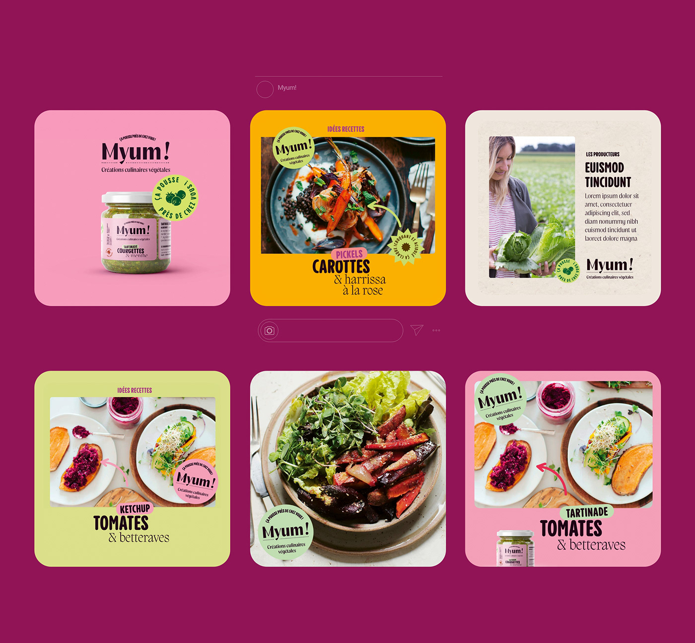 Packaging brand identity branding  visual identity colorful sticker Food  vegetables jar pickles