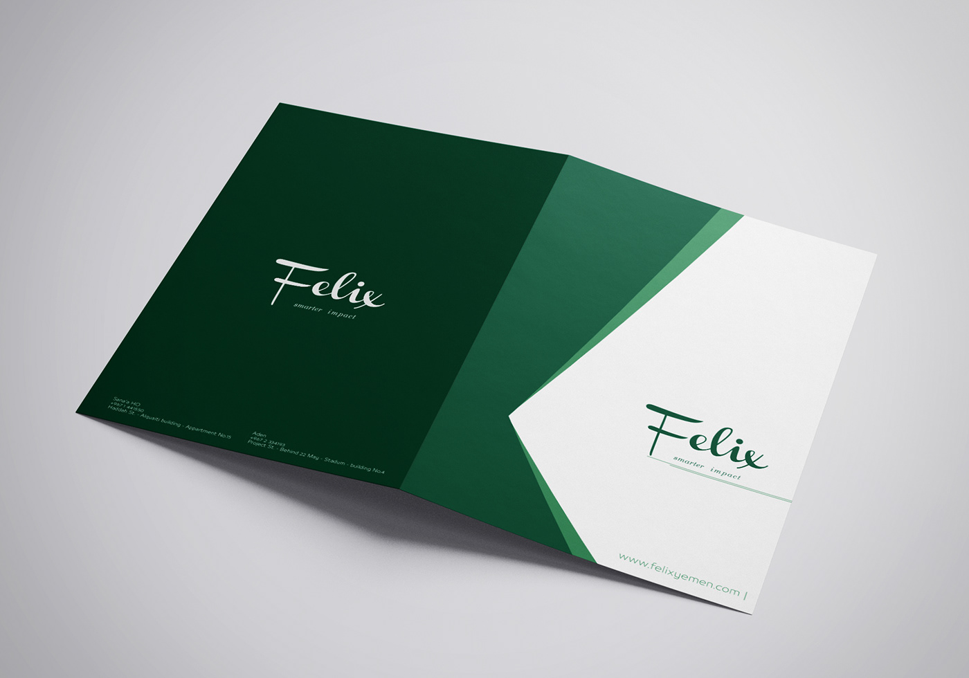 design Advertising  brand branding  company visual identity business card folder