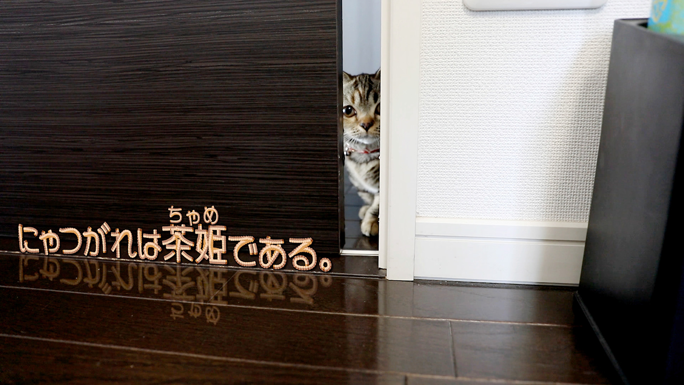 Cat font japan kitty