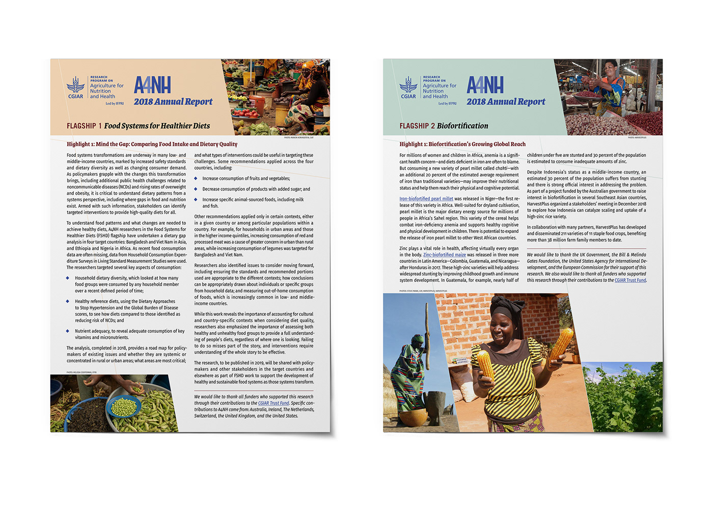 annual report promotions NGO nonprofit Food Insecurity