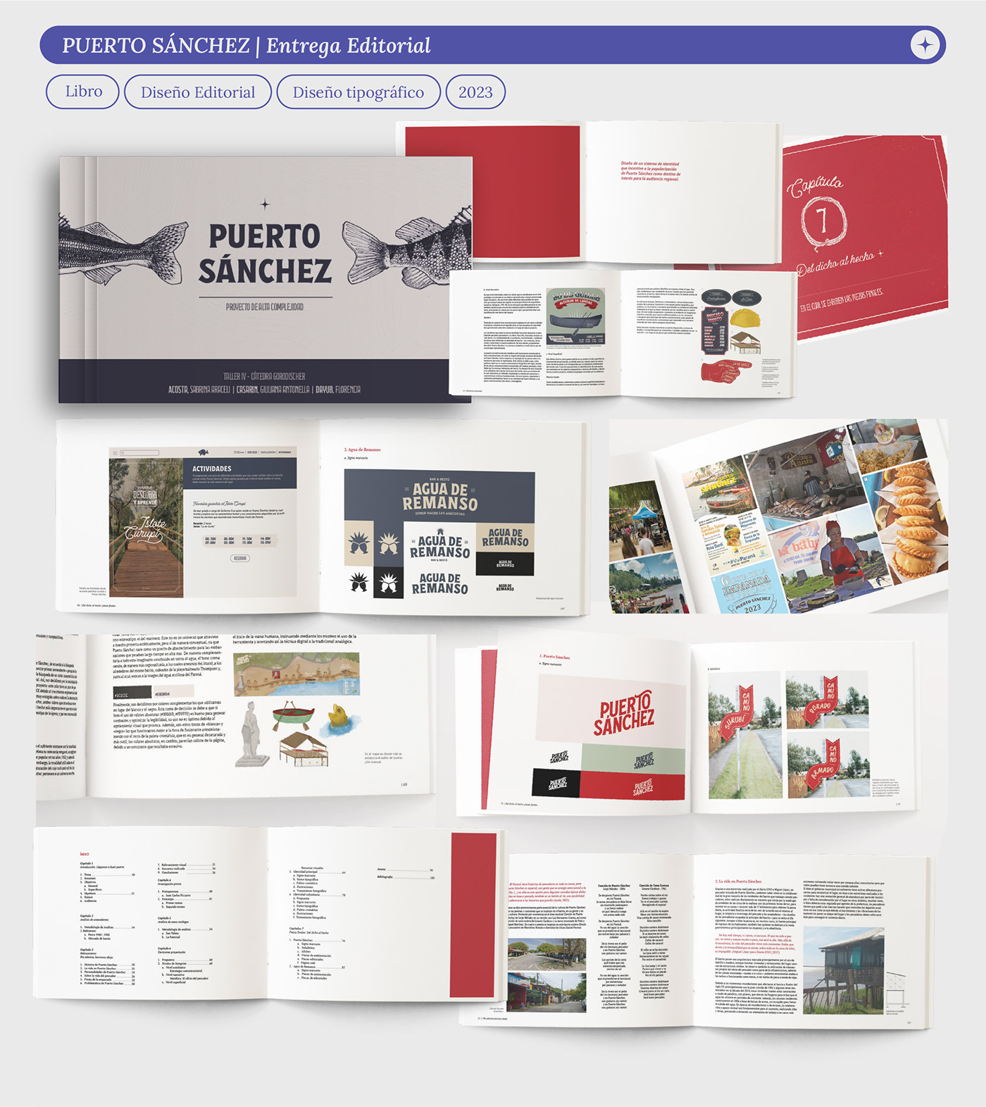 portfolio diseño de identidad Diseño web Diseño editorial transmedia ilustacion