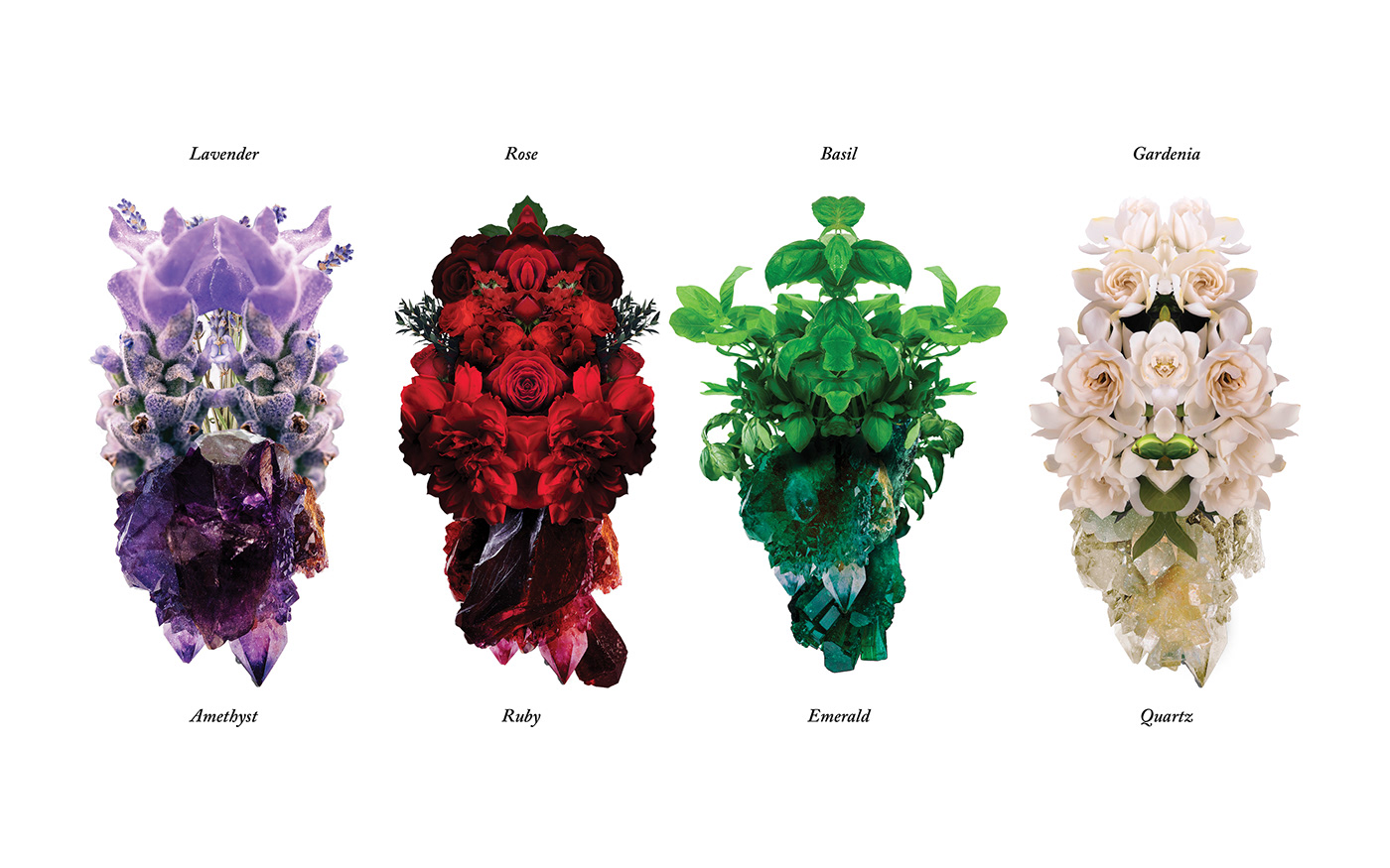 art direction  branding  Flowers graphic design  Kuwait Packaging Perfumes stones