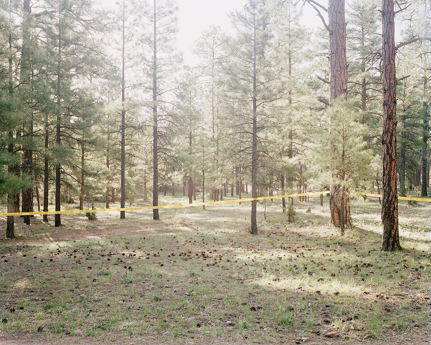 analog  Photography  LandArt   4x5  crime scene