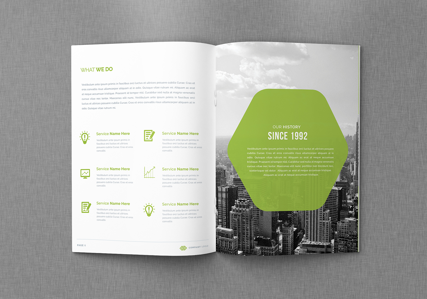 ANNUAL annual report blue brochure business business brochure corporate Design Templates