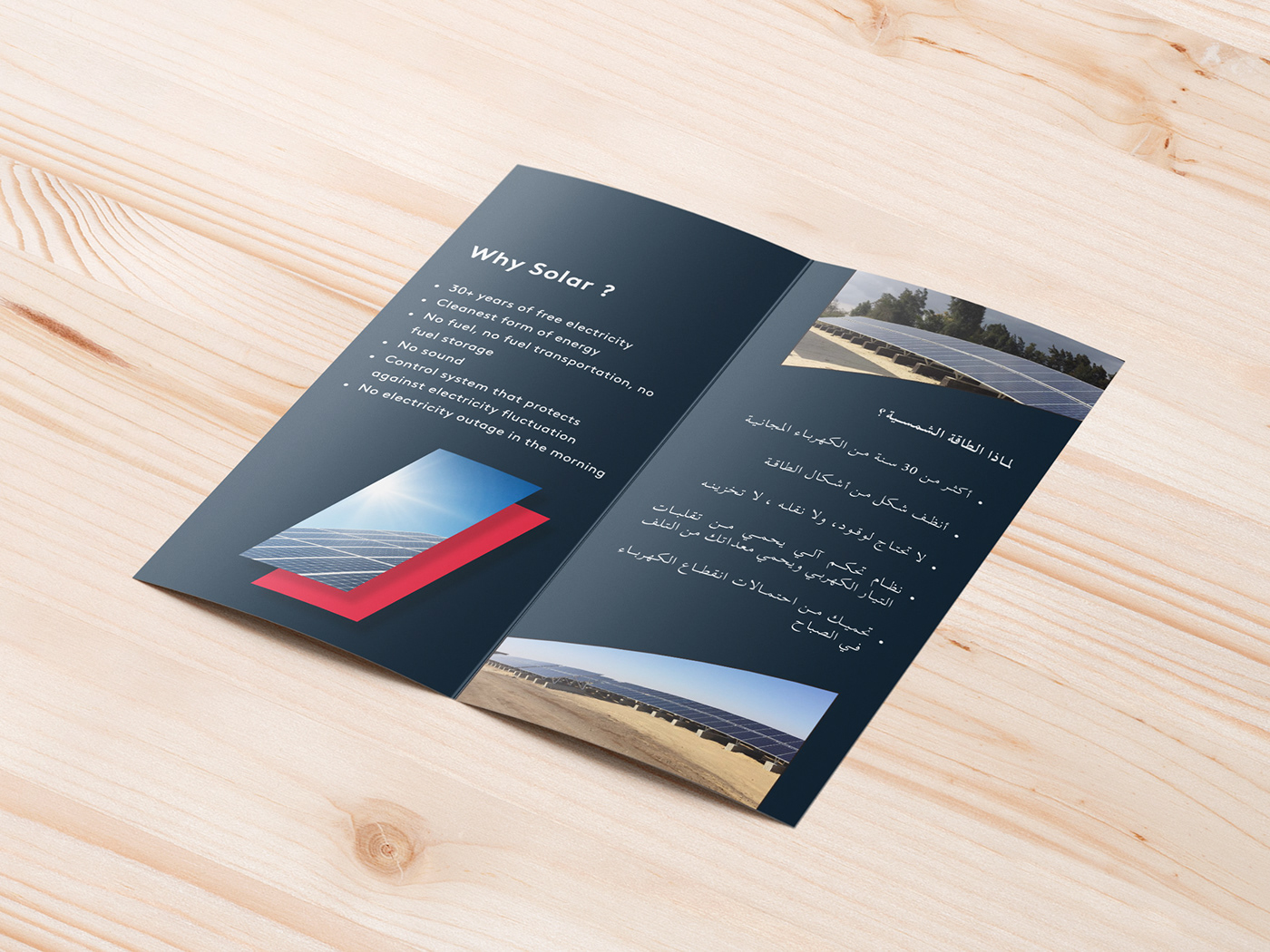branding  brochure design graphic design 