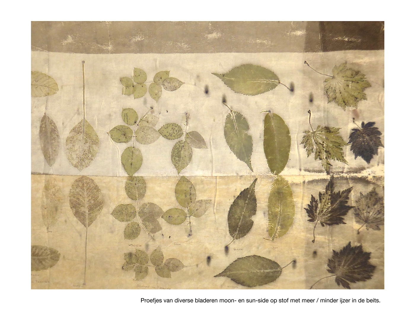 Botanical print Ecoprinten textileart  