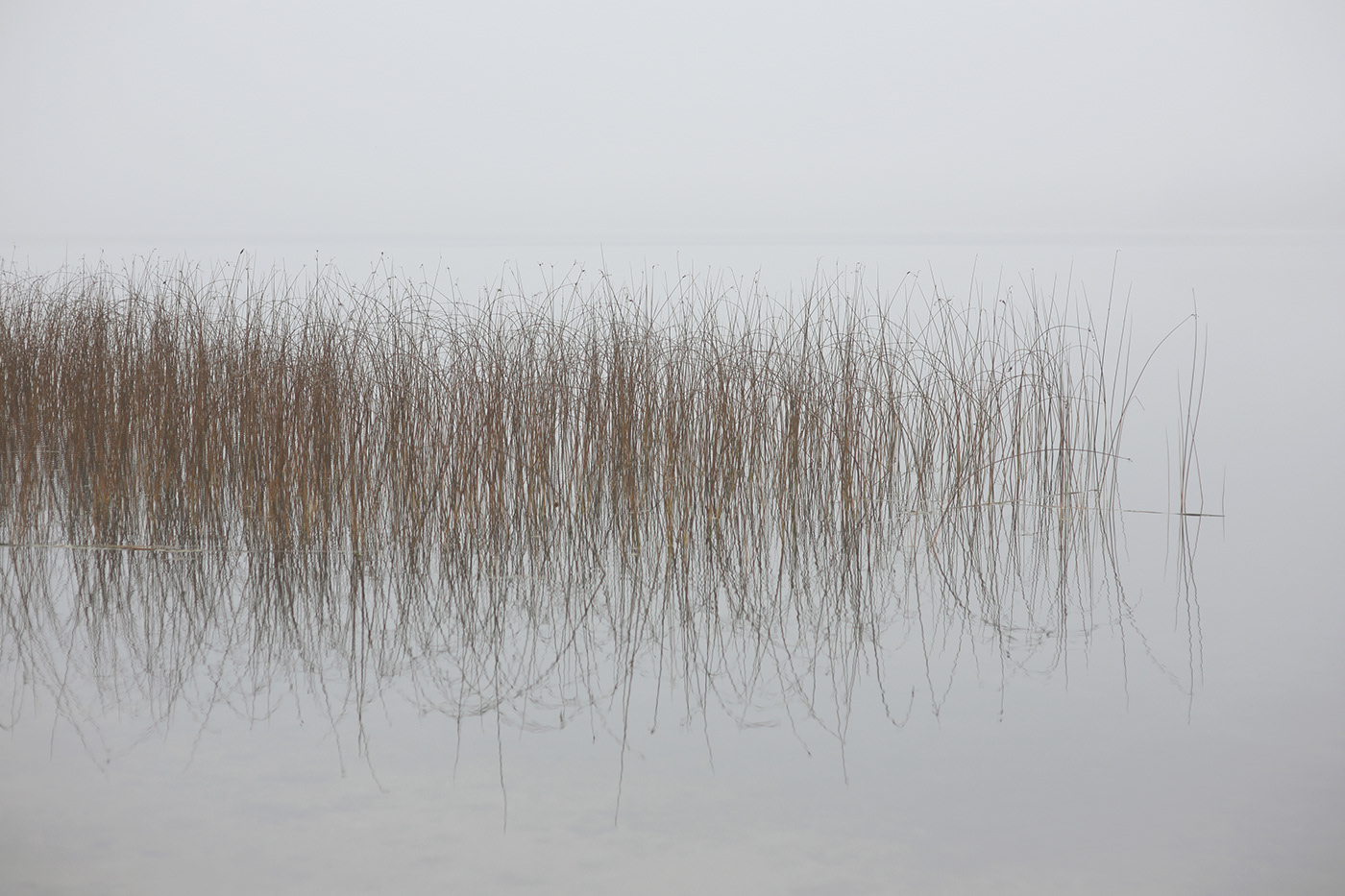 fog Fog landscape lietuva lithuania Mindaugas Buivydas minimal Minimalism mist