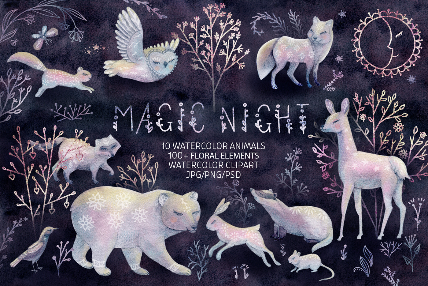 bear deer forest hare kids illustration magic animals night owl raccoon watercolor illustration