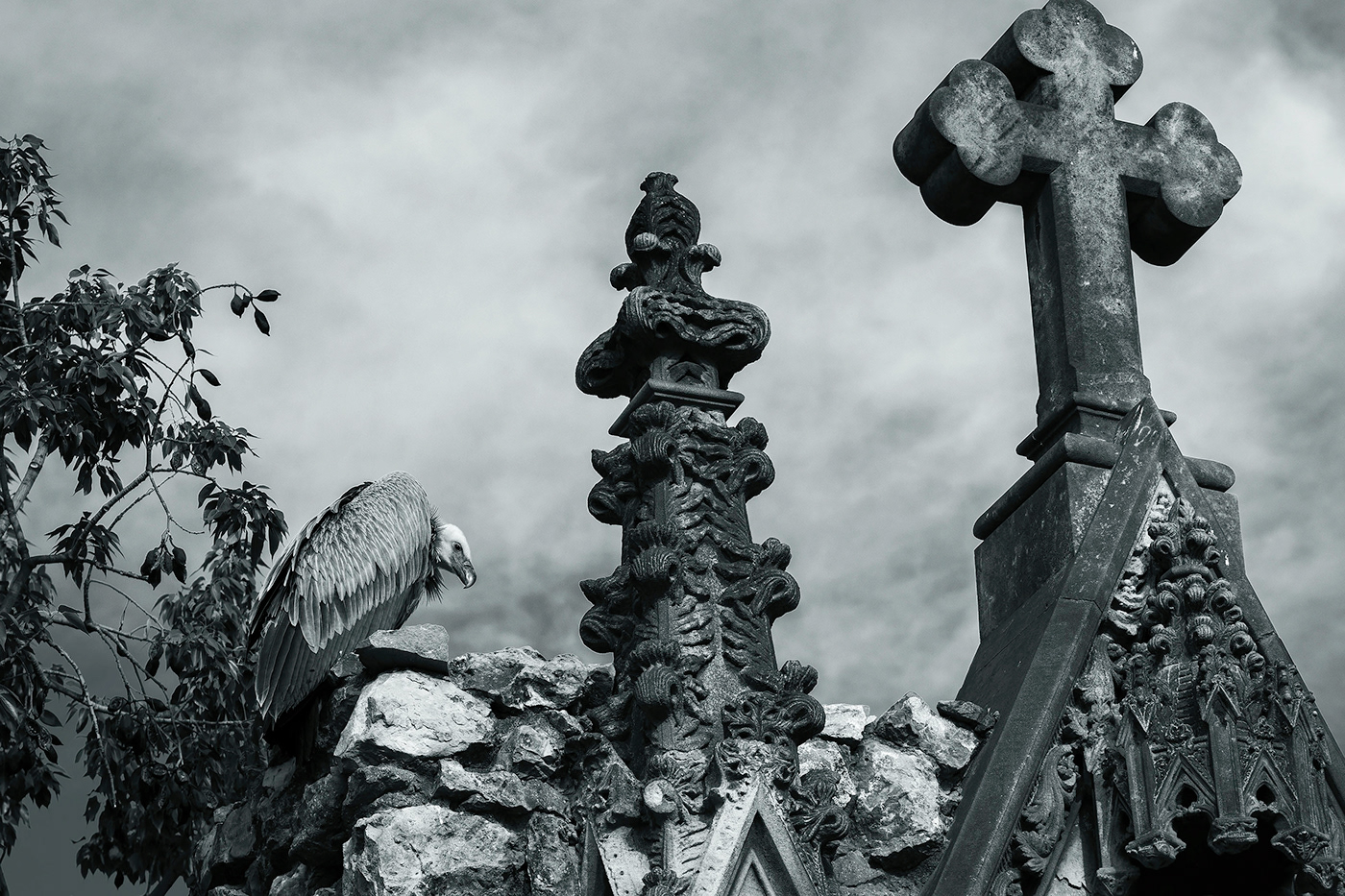 arquitecture black and white cementery dead Landscape lightroom Nikon Photography  sculpture