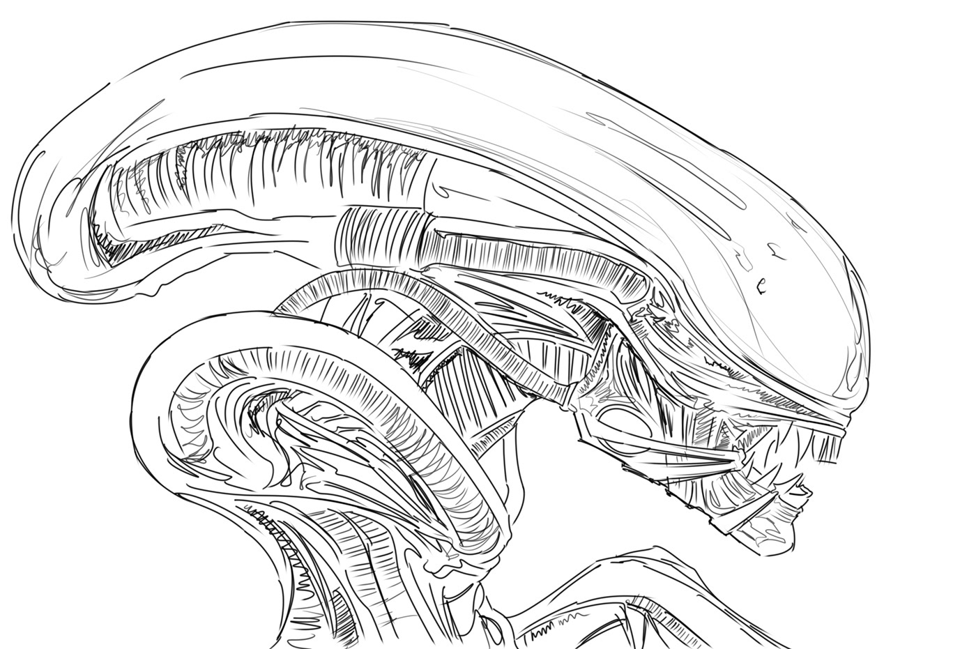 adobe illustrator alien cover design digital illustration hrgiger Ridley Scott sci-fi vector art Xenomorph