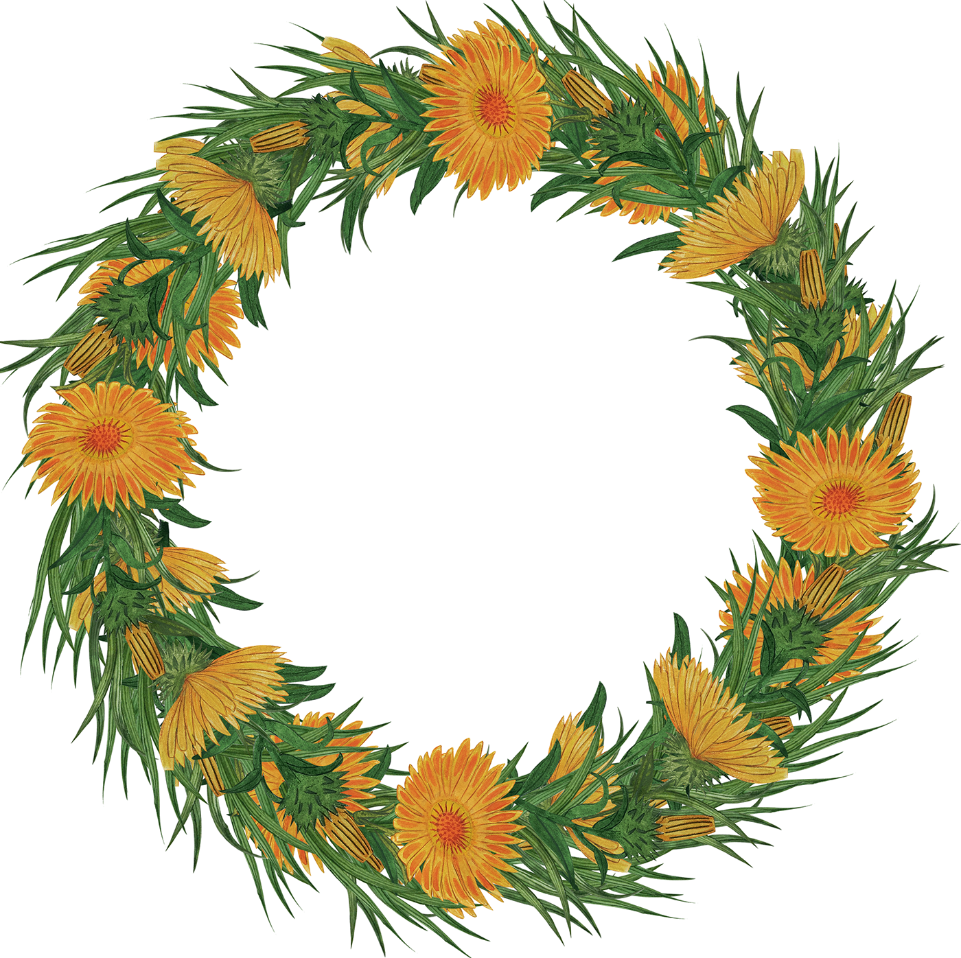 Web Design  акварельная иллюстрация дизайн иллюстрация кольца одуванчик украшения цветы акварелью