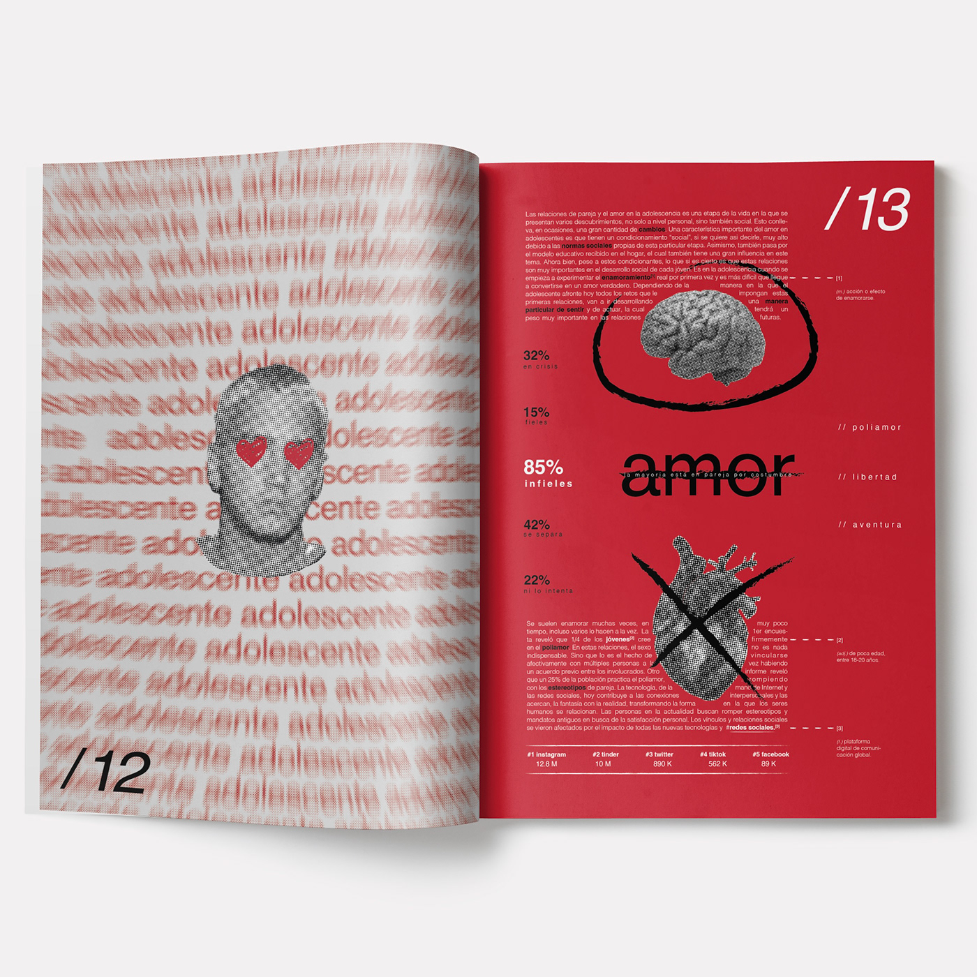 diseño gráfico Diseño editorial fadu pujol 2 DG editorial design identity adobe illustrator editorial design 