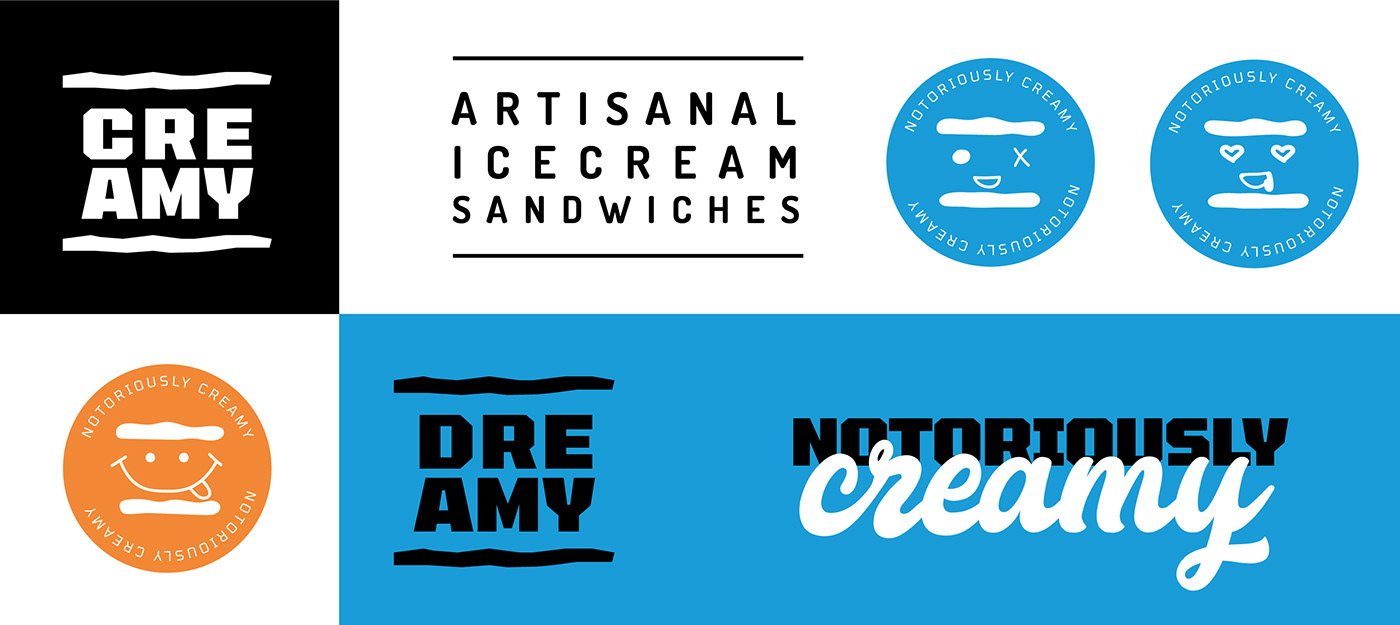 artisanal branding  Content Writing desserts food photography handcrafted icecream logodesign Packaging visual design