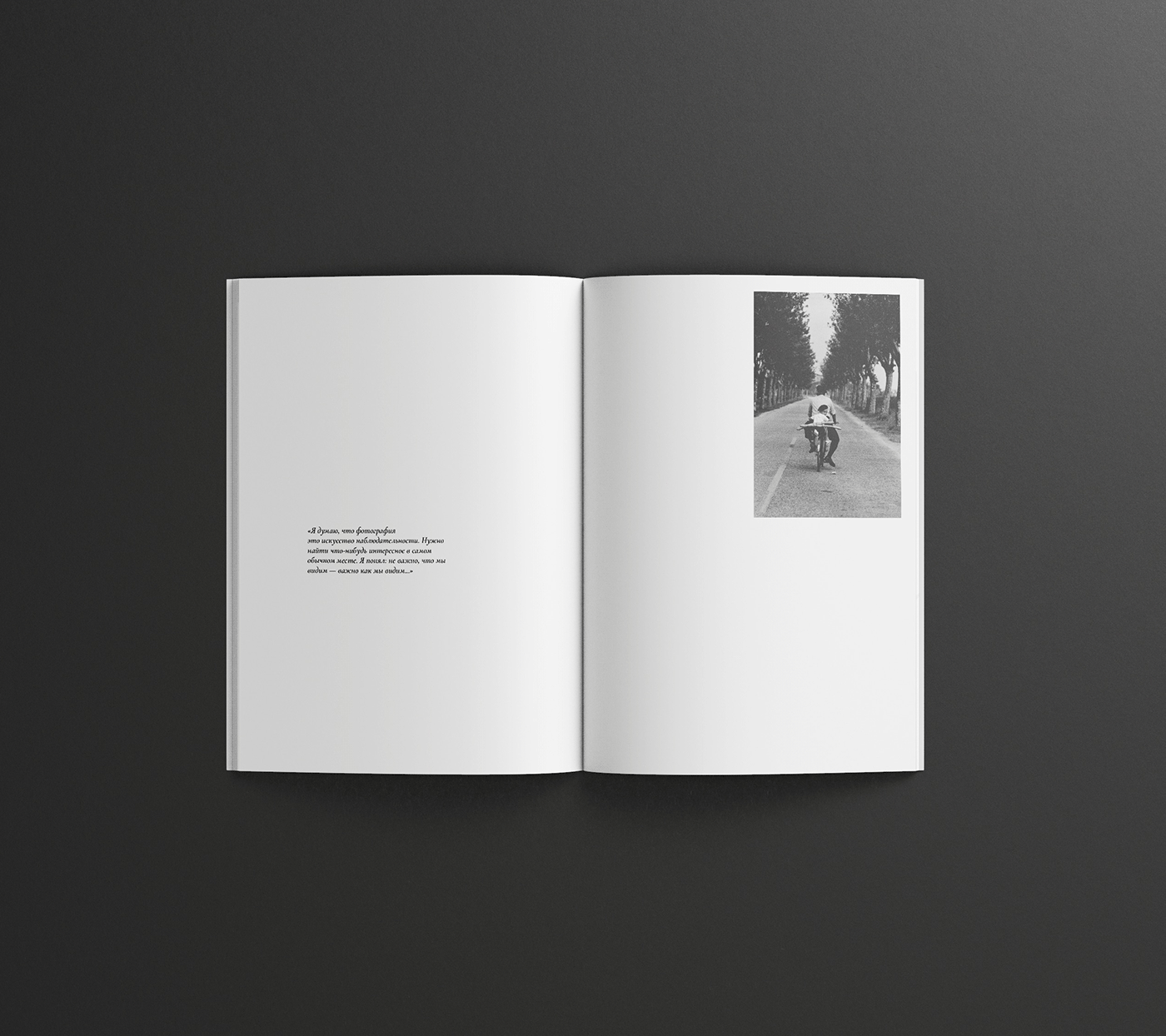 book design Graphic Designer Photography  graphic design  book design typography   InDesign books book cover