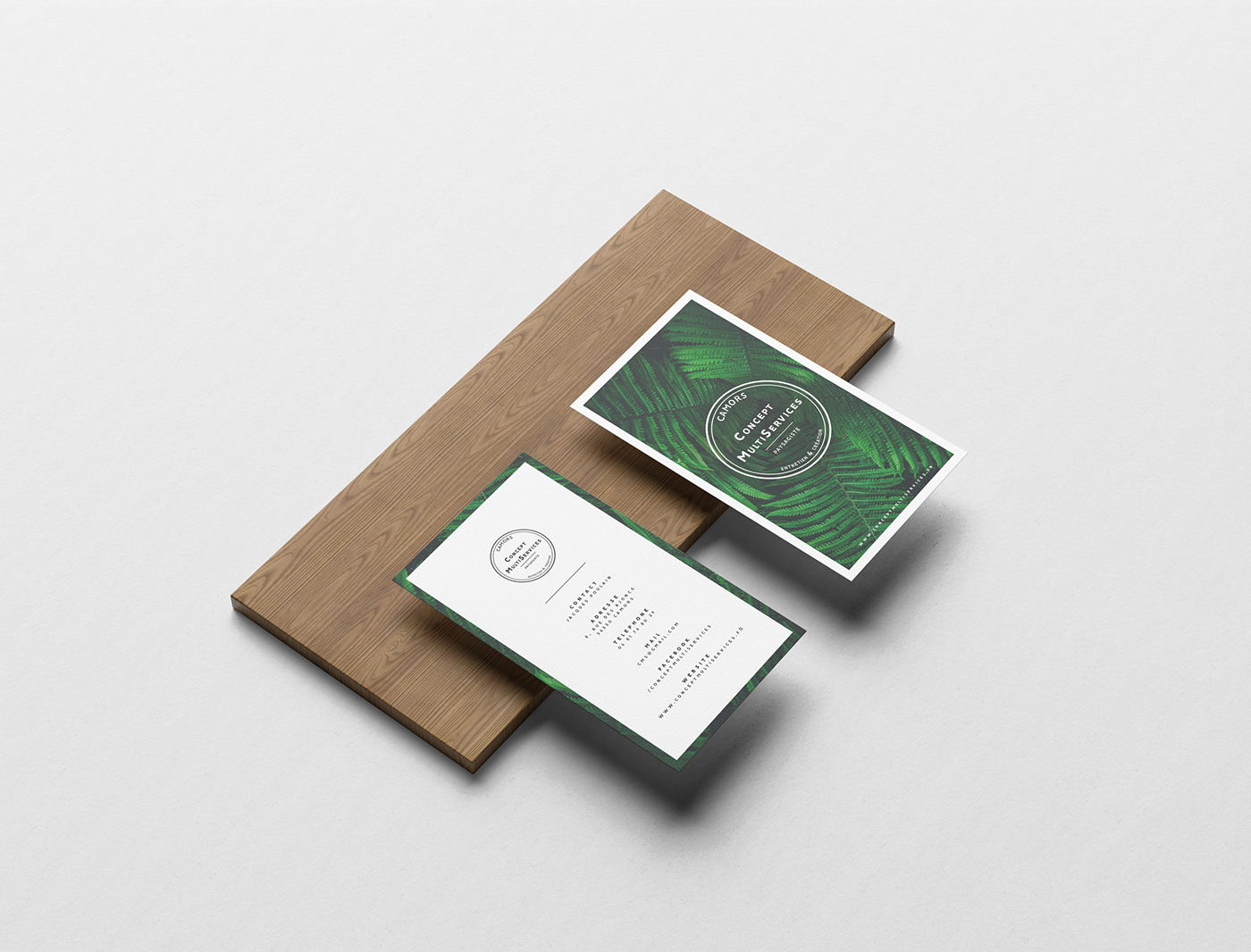 identity brand design visual vector logo Mockup branding  print card