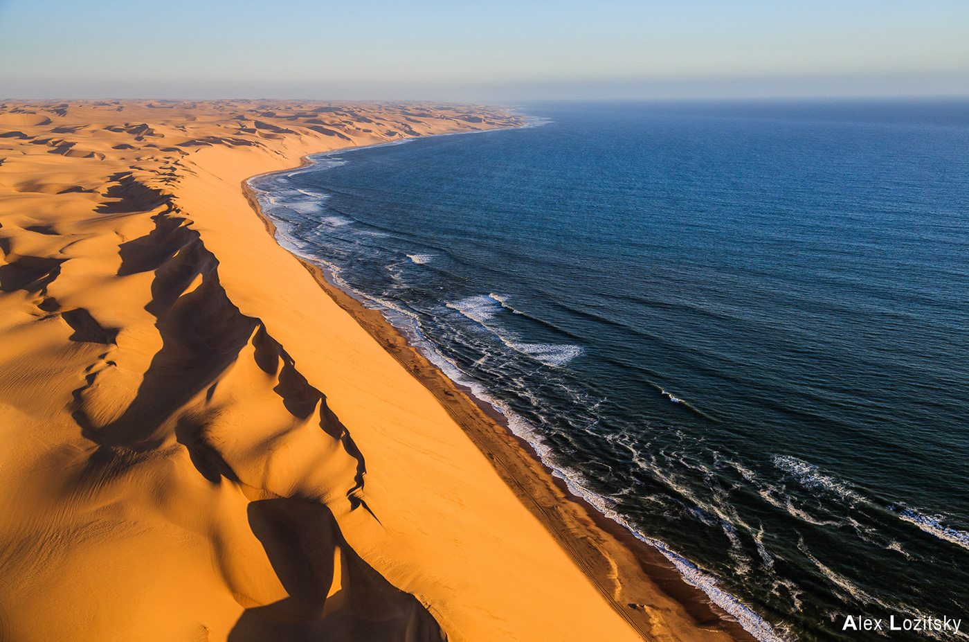 desert sand Landscape trees Tree  dune dunes