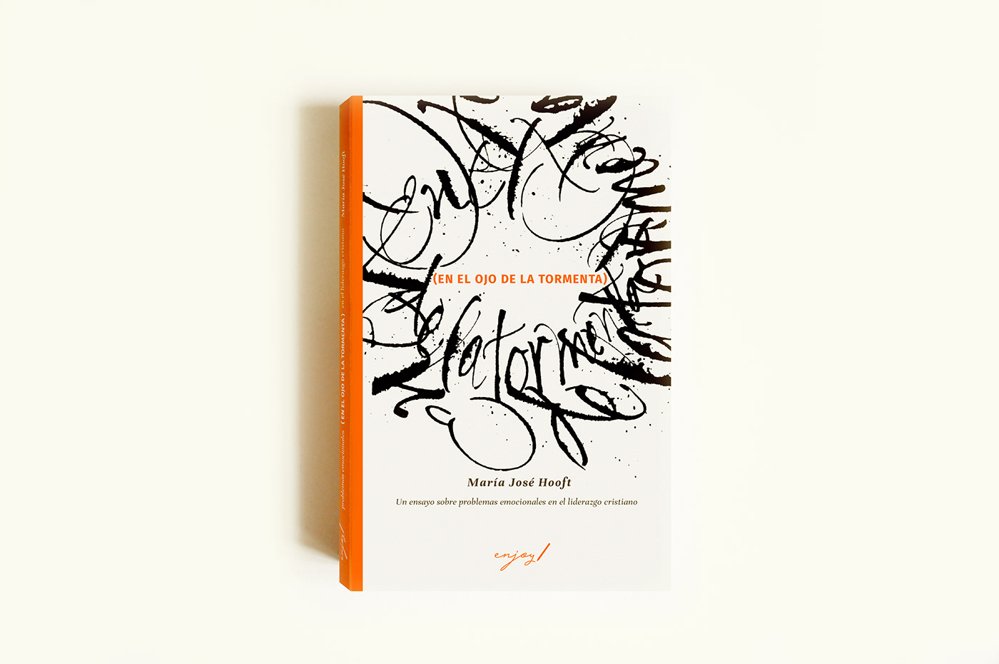 libro book Portada cubierta cover caligrafia Calligraphy   en el ojo de la tormenta marijo hooft