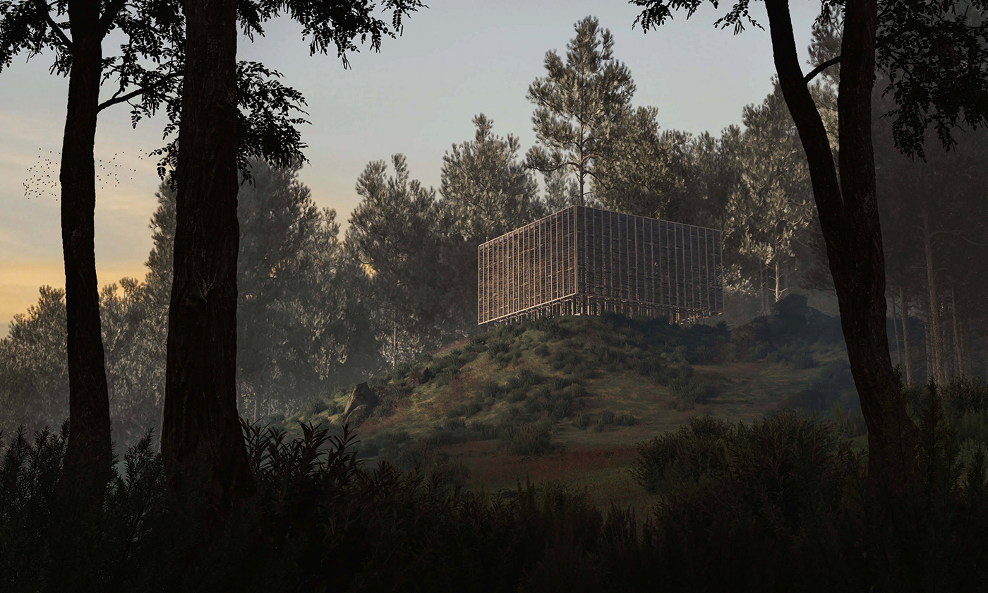 animation  architecture CGI fairytale forest mist mountain Nature trees visualization