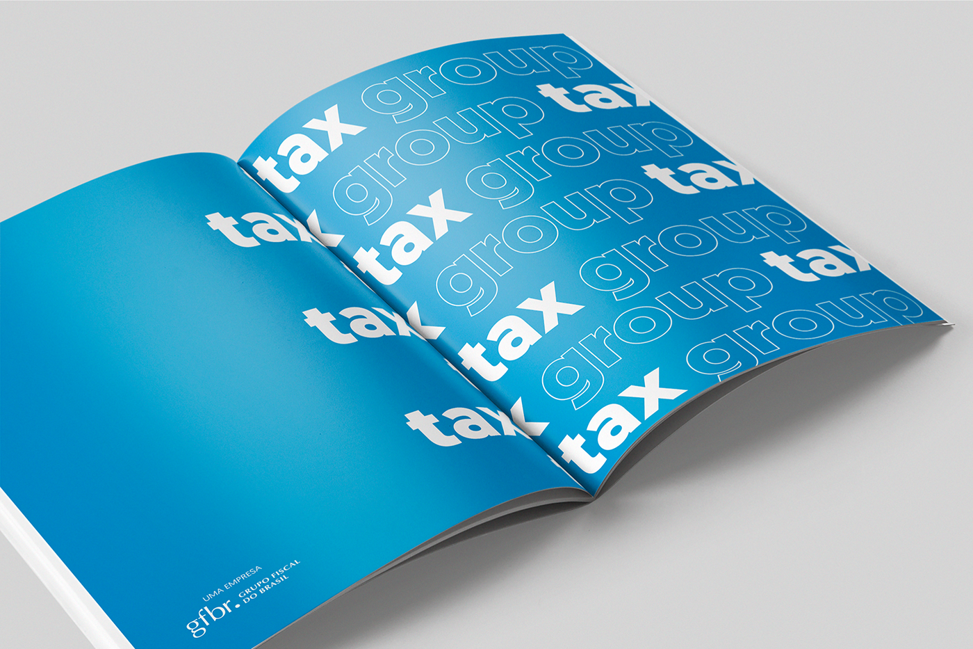 tax Bank financial banco financeiro credit branding  editorial design  art direction 