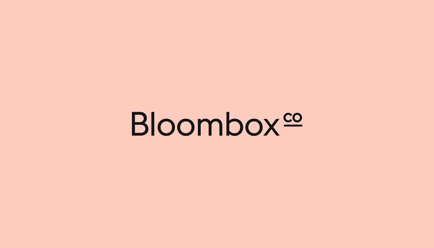 logo Logotype brand branding  visual identity ILLUSTRATION  flower Packaging brand identity bloombox