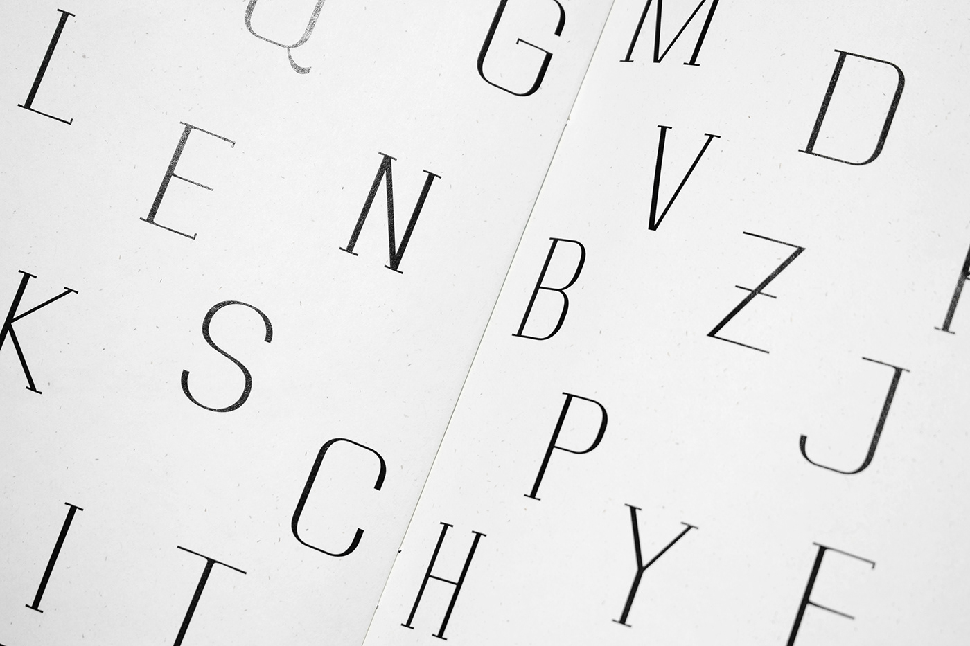 font Free font freebie letters serif specimen type type design Typeface typography  