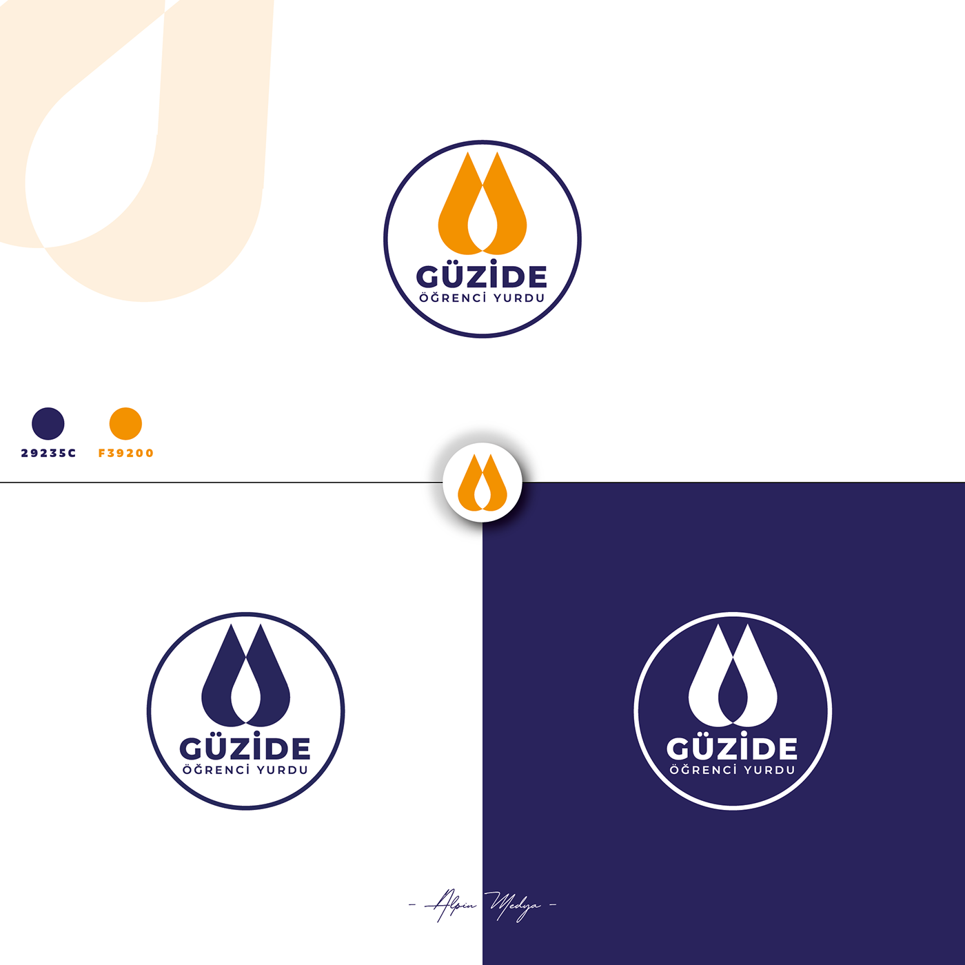 logo design graphicdesign branding  logodesigner art Logotype logomaker vector logodesigns