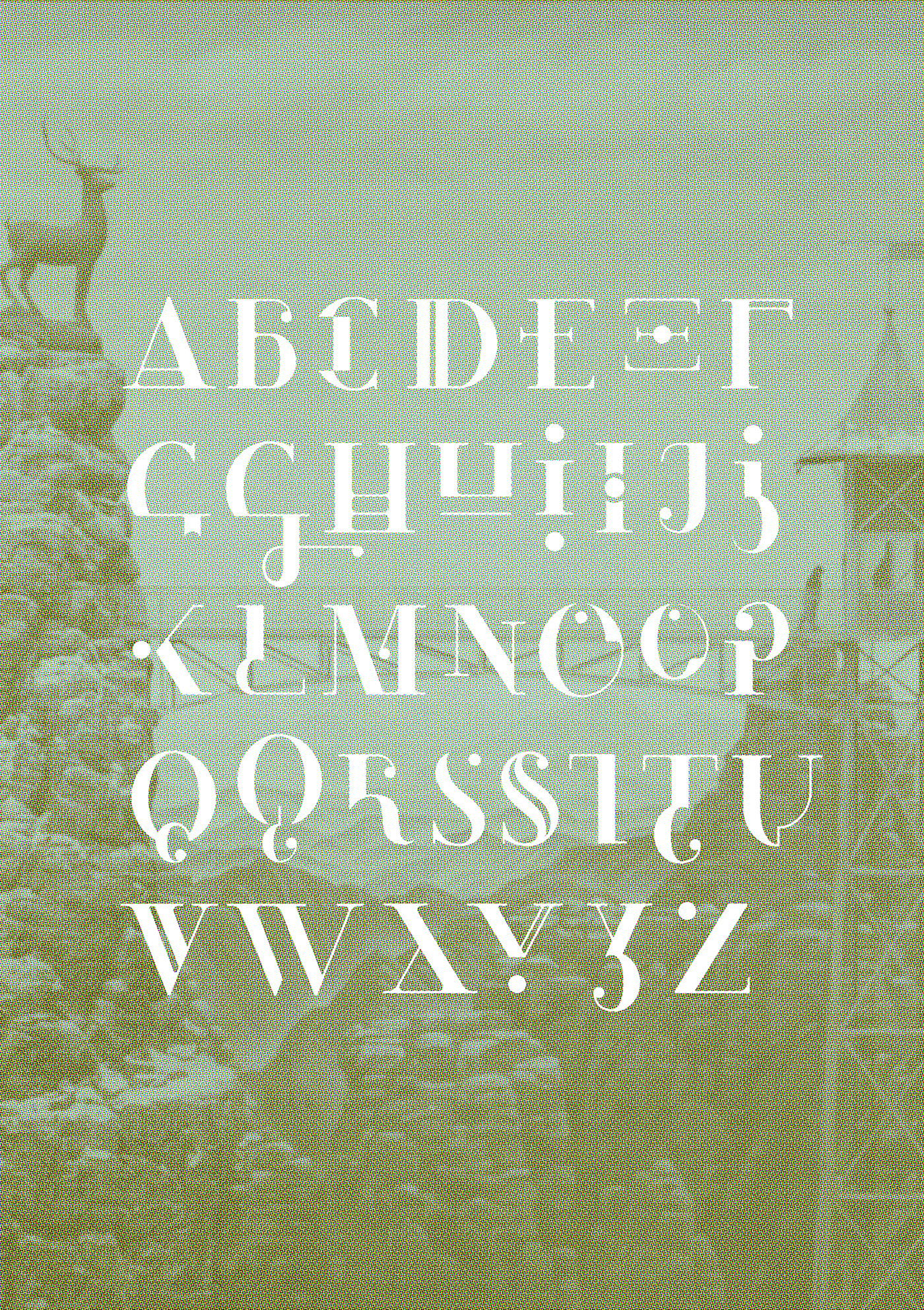 Typeface font Film   wes anderson movie Character type design