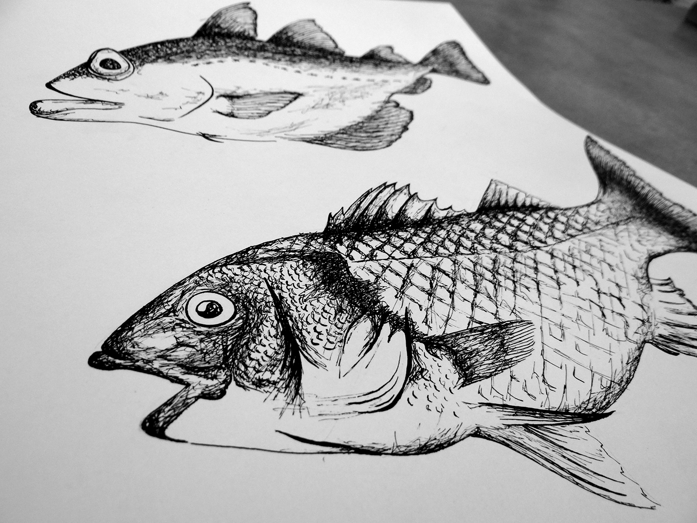 fish ink animal black White brittany sea ship bretagne poisson Encre bateau screen-printing