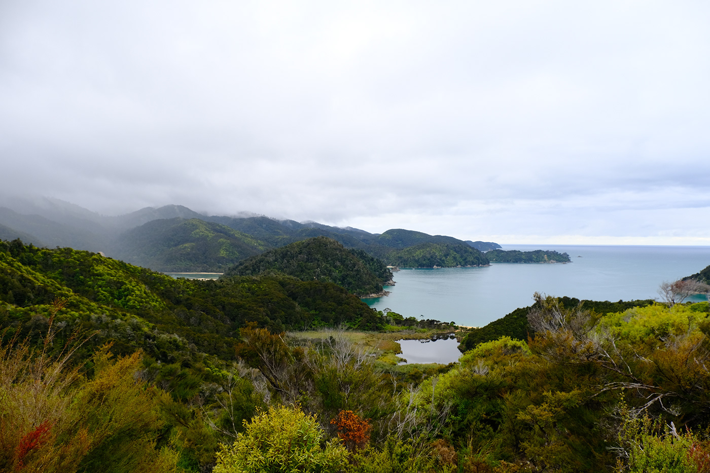 hiking Photography  New Zealand outdoors wildlife tramping
