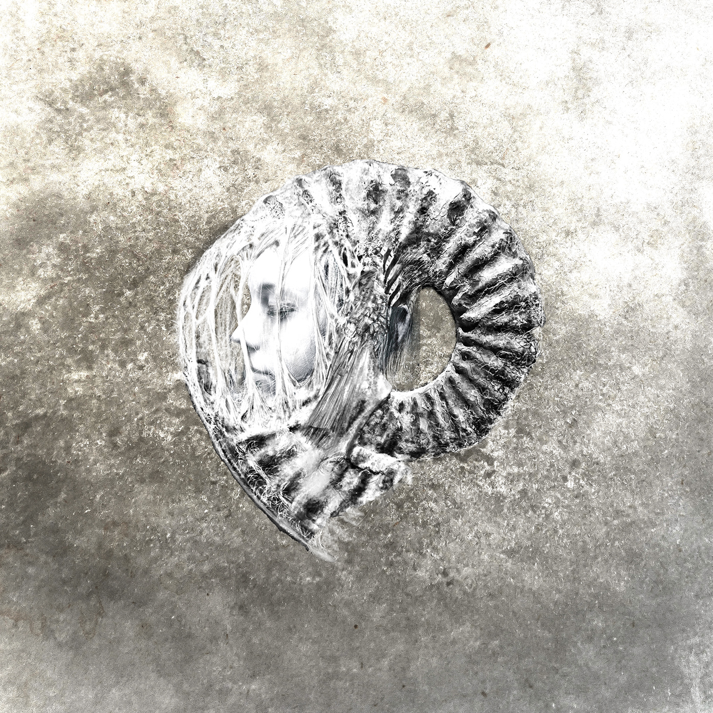 ammonite coral cthulhu digital Fossil jellyfish nautilus planet shell