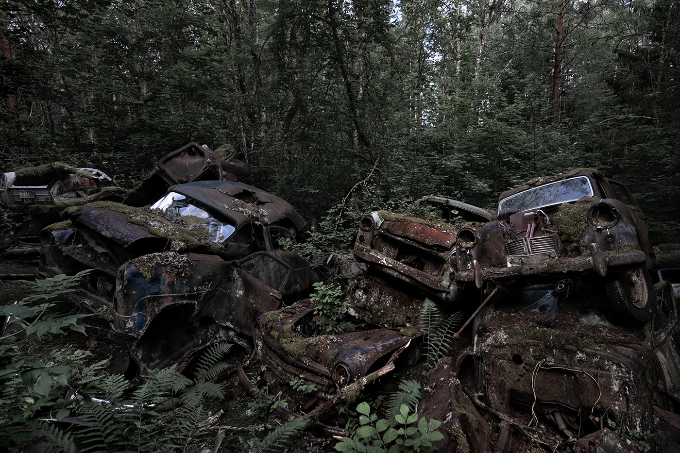 abandoned automobile Cars clandestine residence decay forgotten old trees woods landscape photography