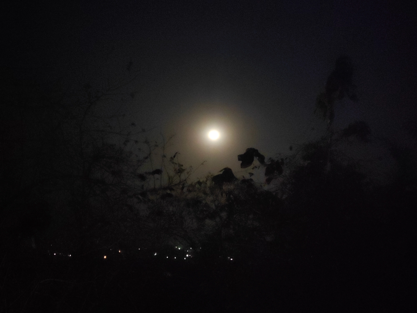 Image may contain: moon, night and dark