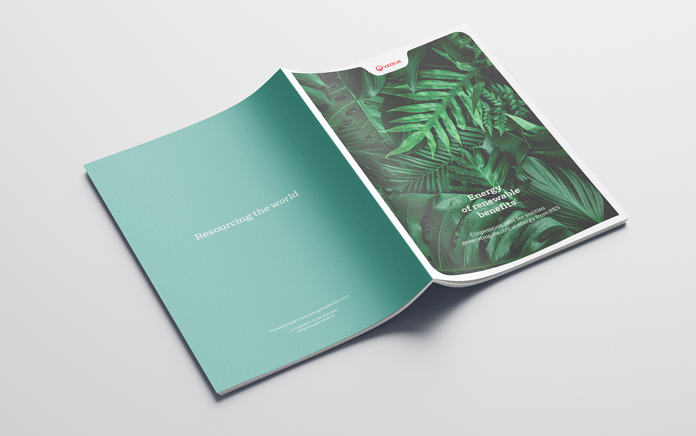book brochure corporate energy flayer Green Energy photovoltaics print Resourcing veolia