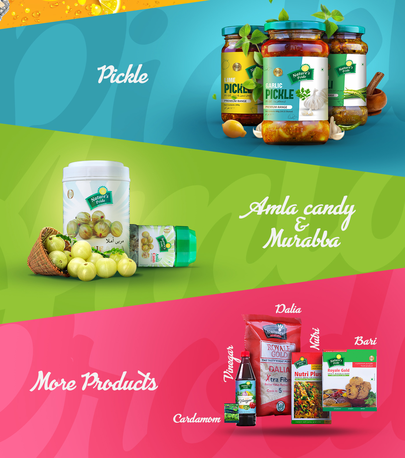 branding  corporate social media Website Design brand Corporate Identity pickle jam Food  Food product