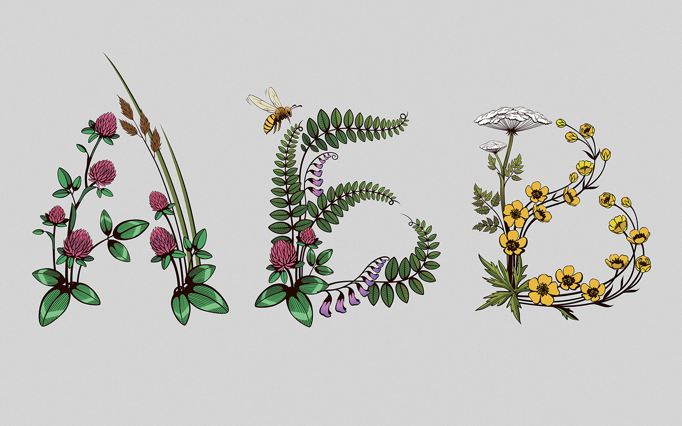 Wildflowers poppies font