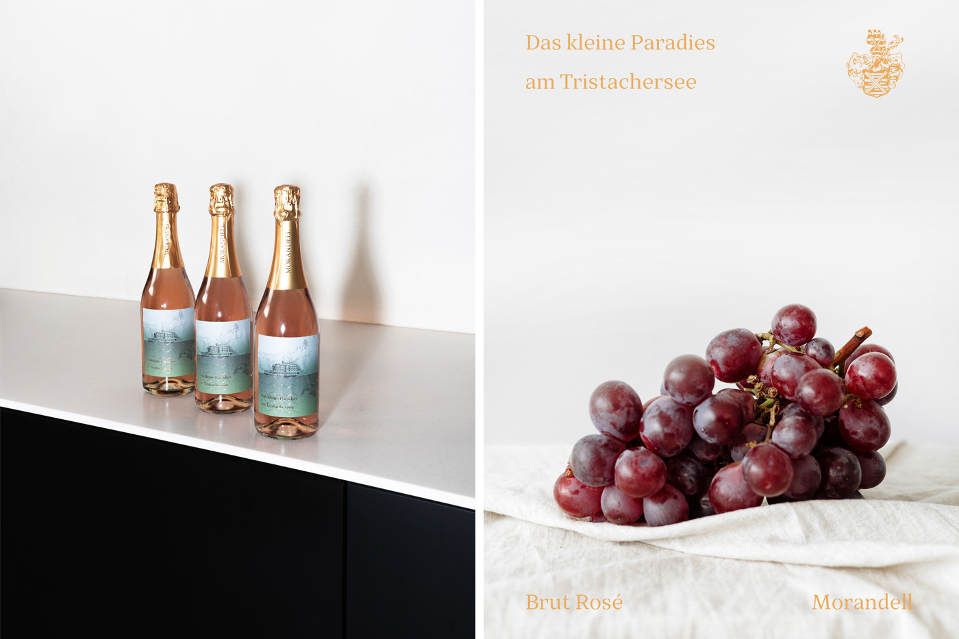 Brand Design ILLUSTRATION  Label Packaging typography   visual identity wine wine label