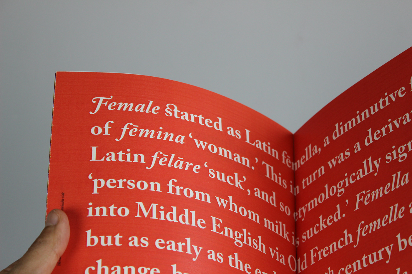 typography   book design istd type editorial feminism libro feminismo