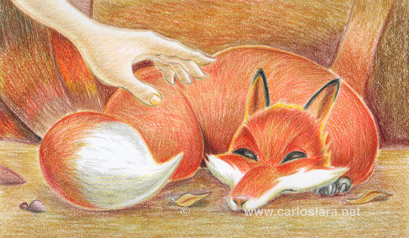 animals Character design  children's book colored pencils concept art ILLUSTRATION  Nature storytelling   TRADITIONAL ART