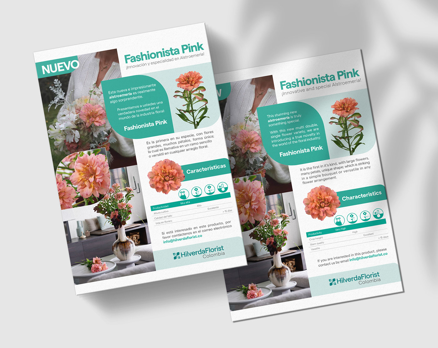 aguamarina brochure editorial design  Flores Flowers Flyer Design magazine Nature
