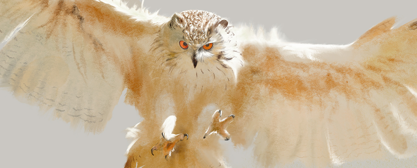 artwork birds Digital Art  digital illustration Drawing  ILLUSTRATION  painting   watercolor watercolordigital