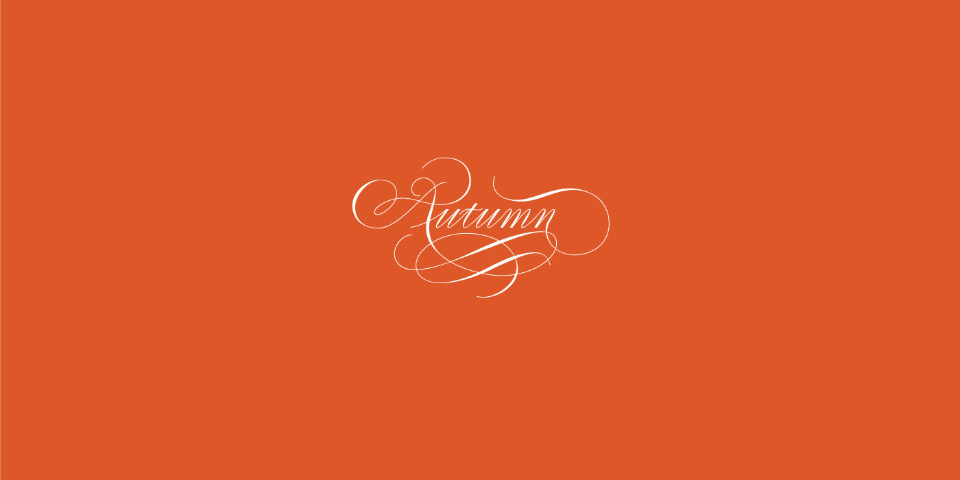 Calligraphy   lettering Custom typography   type etlettering Logotype logo sign brand