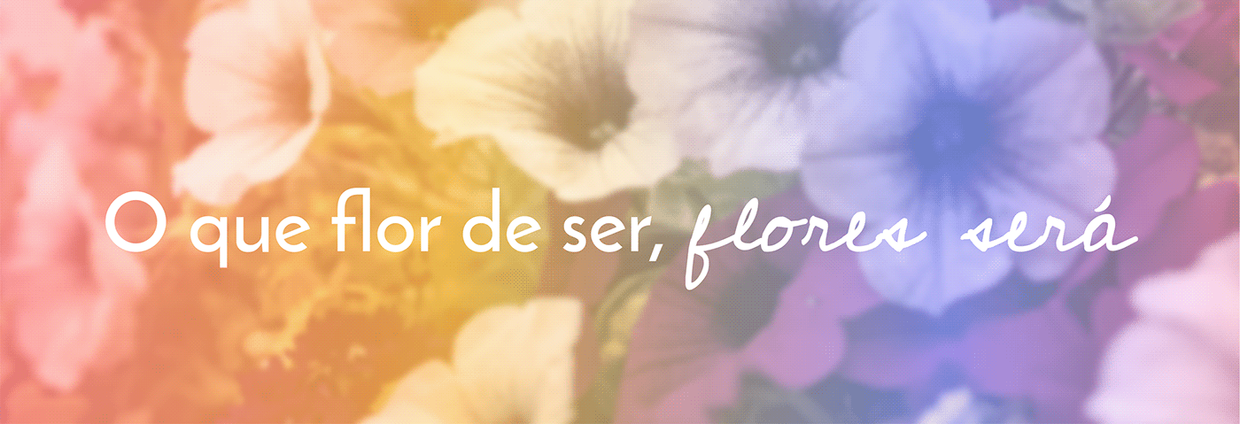 design Floricultura flower marca design gráfico identidade visual Logotype garden brand identity Logo Design