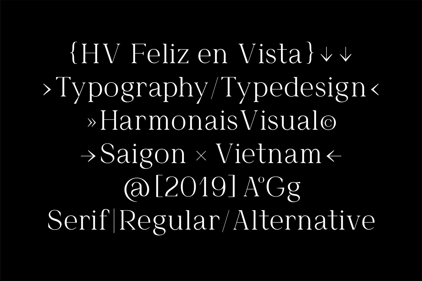 font Typeface typedesign fontdesign typefoundry typography   graphicdesign contemporary modern serif